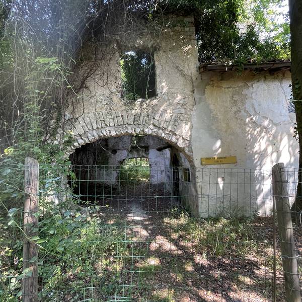 Dicono di noi